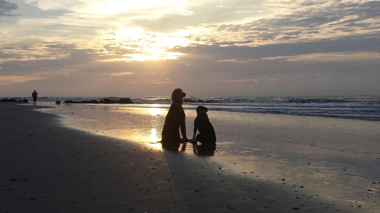 Folly Vacation Perfect Purple Palace Apt A Folly Beach Bagian luar foto